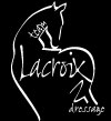 Team Lacroix