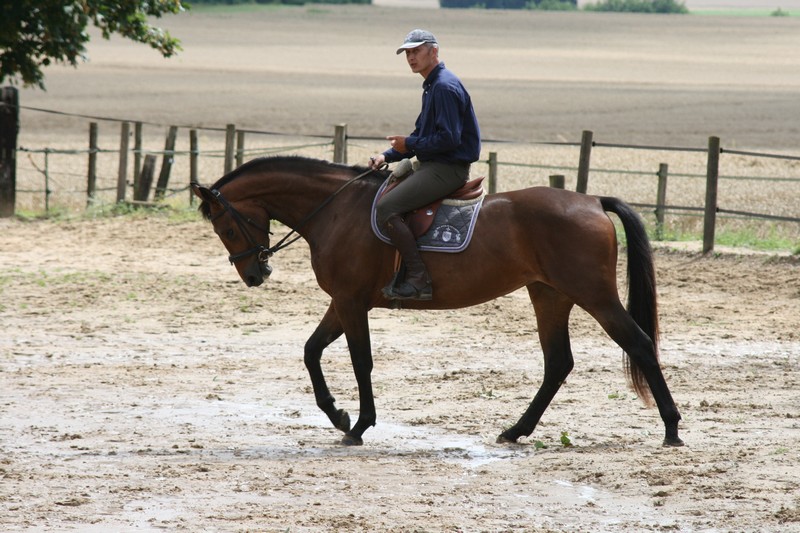 Amber's Angel - Juillet 2013 001